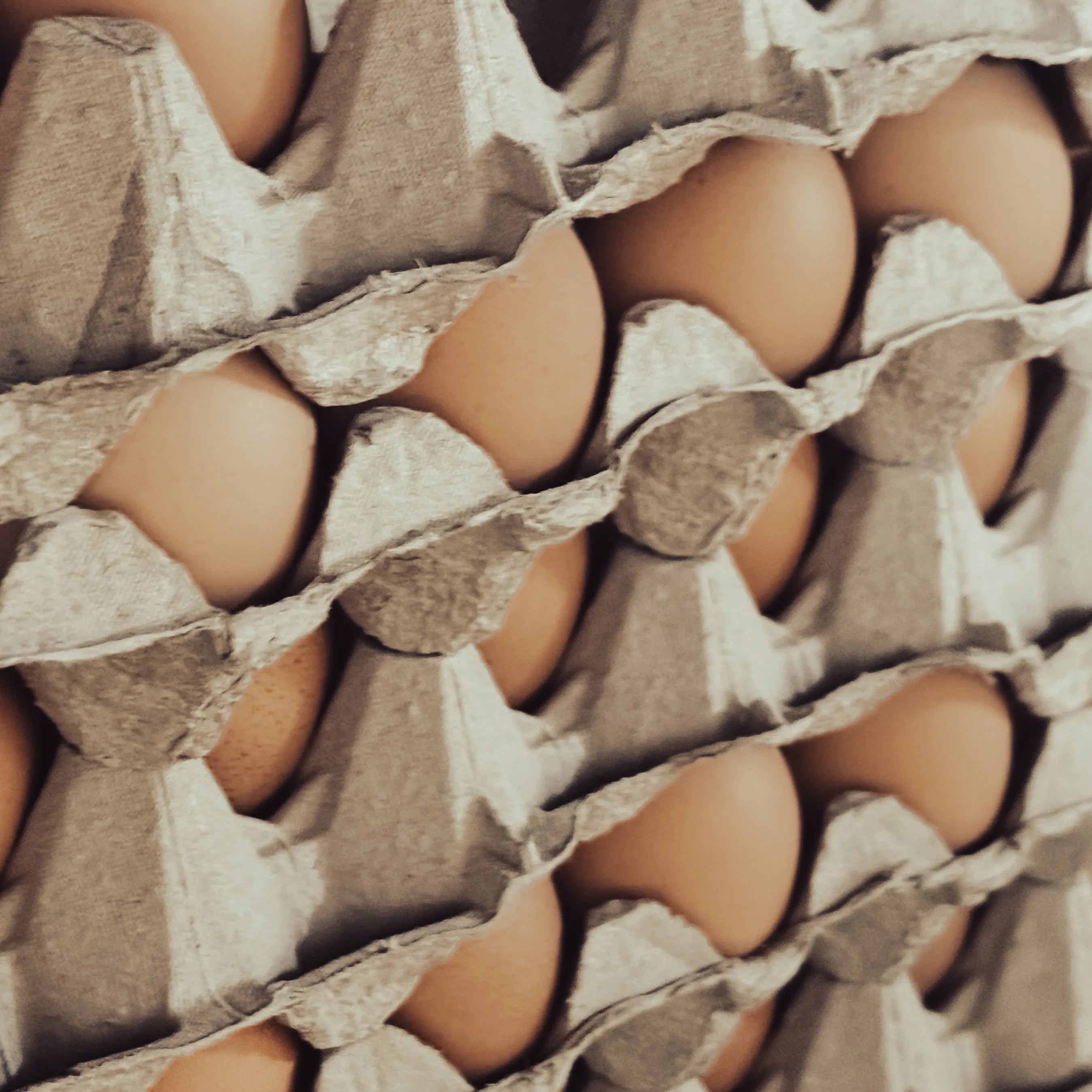 HALF A DOZEN EGGS